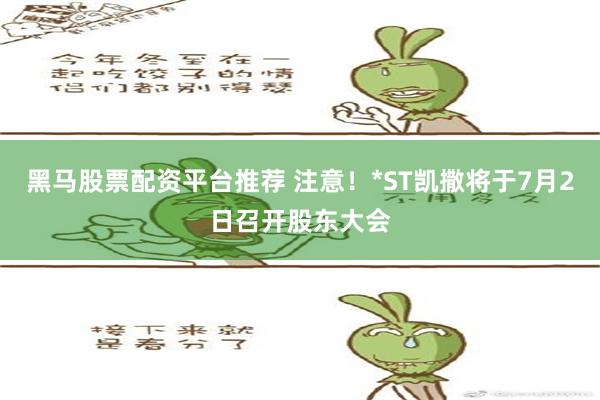 黑马股票配资平台推荐 注意！*ST凯撒将于7月2日召开股东大会