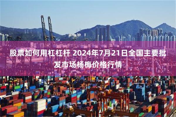 股票如何用杠杠杆 2024年7月21日全国主要批发市场杨梅价格行情