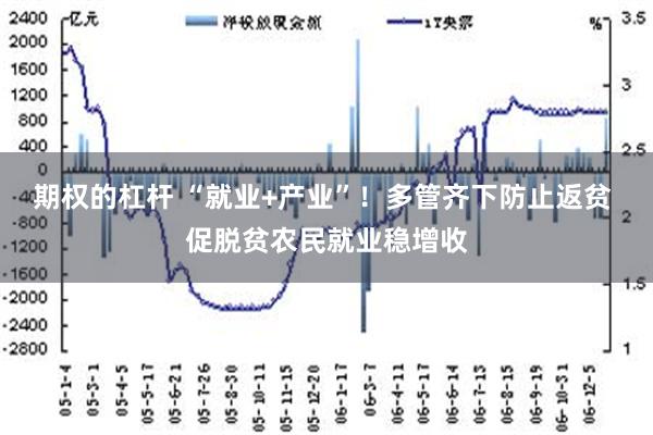 期权的杠杆 “就业+产业”！多管齐下防止返贫 促脱贫农民就业稳增收