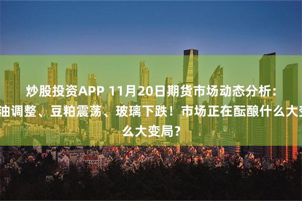 炒股投资APP 11月20日期货市场动态分析：棕榈油调整、豆粕震荡、玻璃下跌！市场正在酝酿什么大变局？