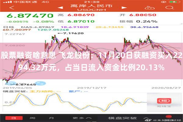 股票融资啥意思 飞龙股份：11月20日获融资买入2294.32万元，占当日流入资金比例20.13%