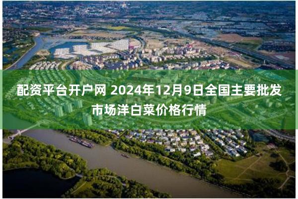 配资平台开户网 2024年12月9日全国主要批发市场洋白菜价格行情