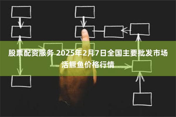 股票配资服务 2025年2月7日全国主要批发市场活鳜鱼价格行情